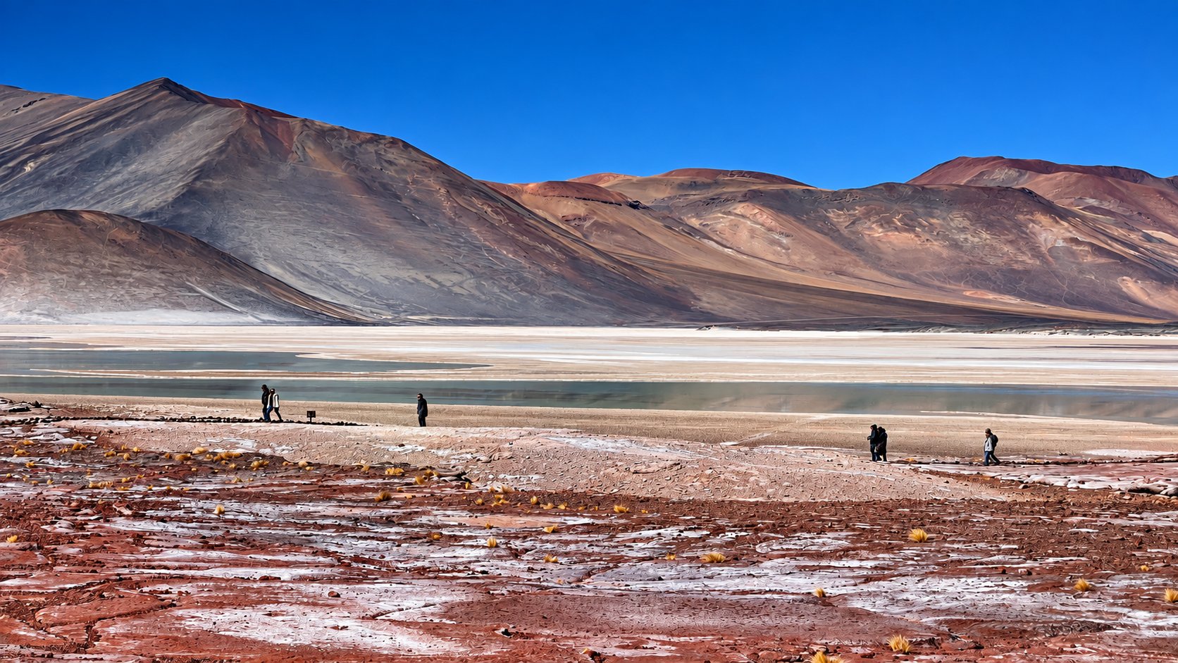 Lagunas Altiplánicas y Piedras Rojas