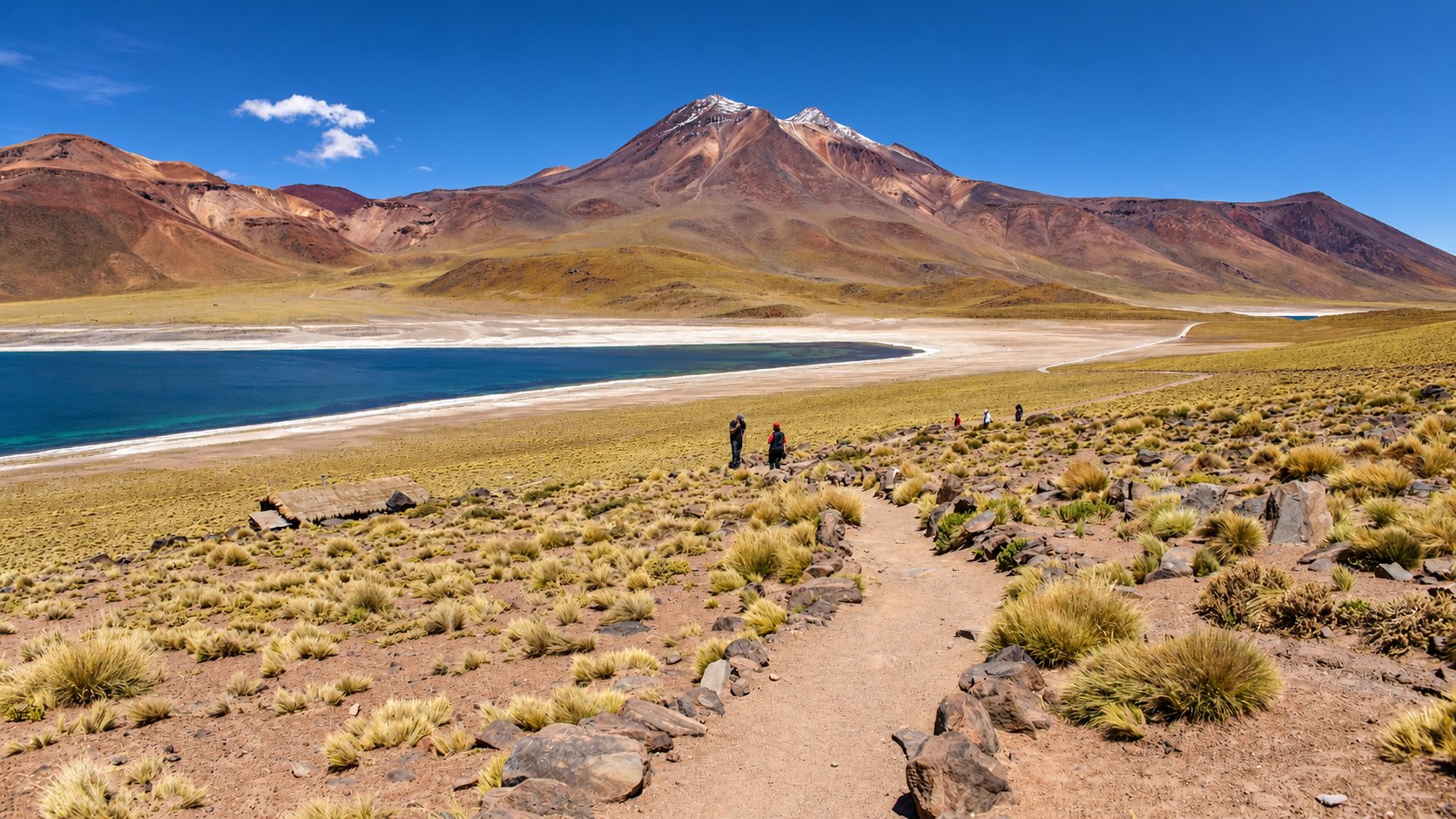 Lagunas Altiplánicas y Piedras Rojas
