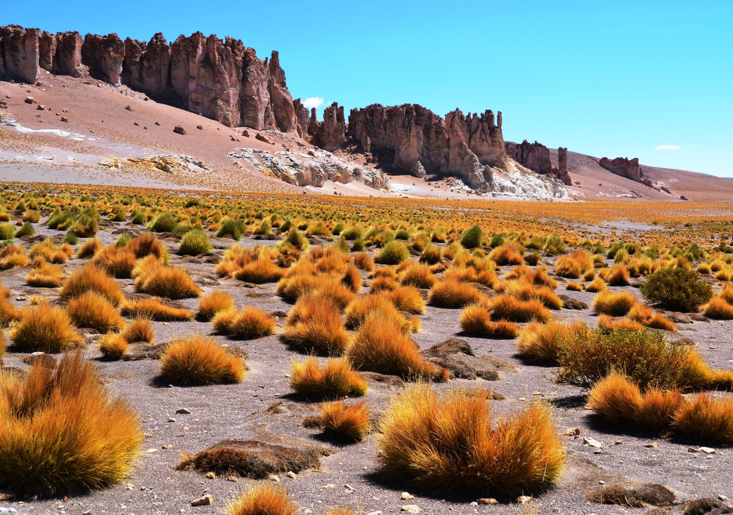 Ruta de los Salares