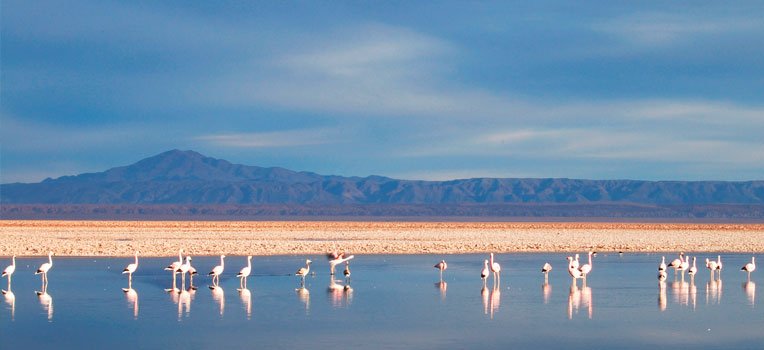 Salar de Atacama, Poblado de Toconao y Quebrada de Jerez