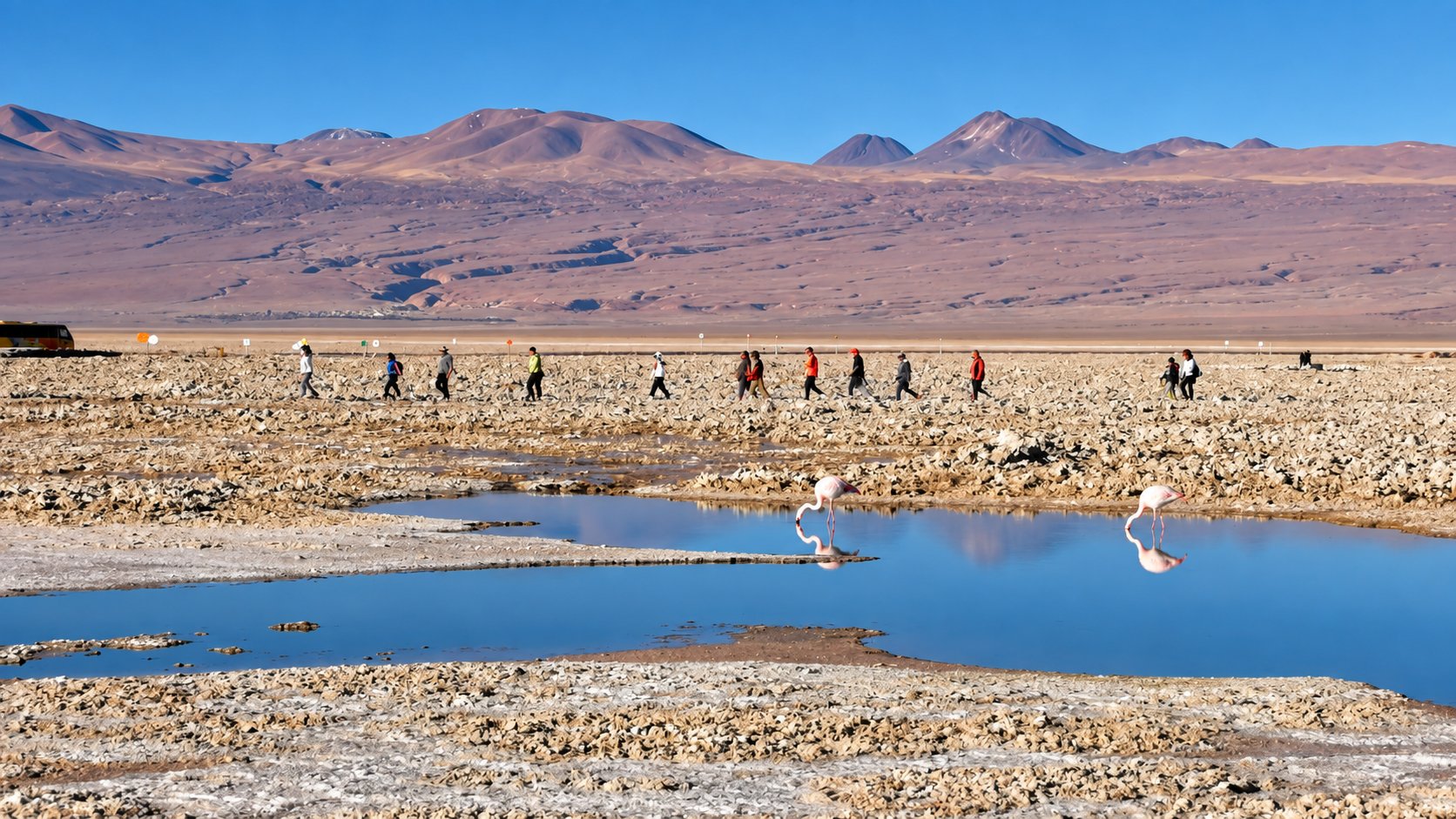Salar de Atacama, Poblado de Toconao y Lagunas Altiplánicas