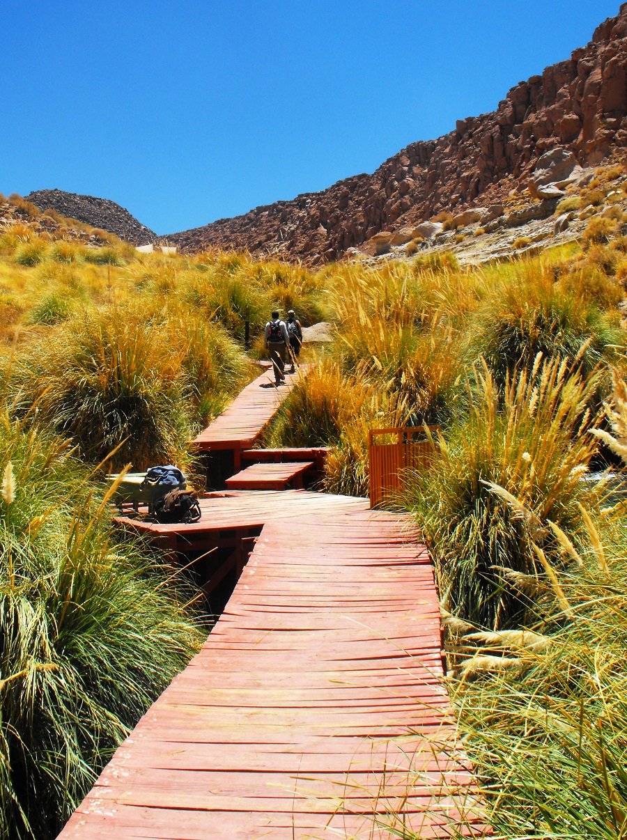 Termas de Puritama