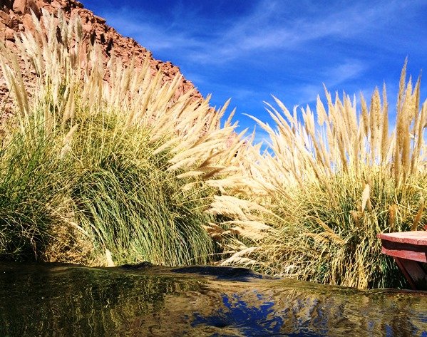 Termas de Puritama