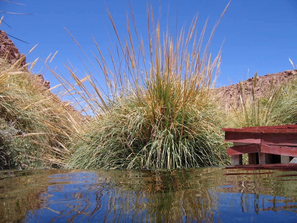 Termas de Puritama