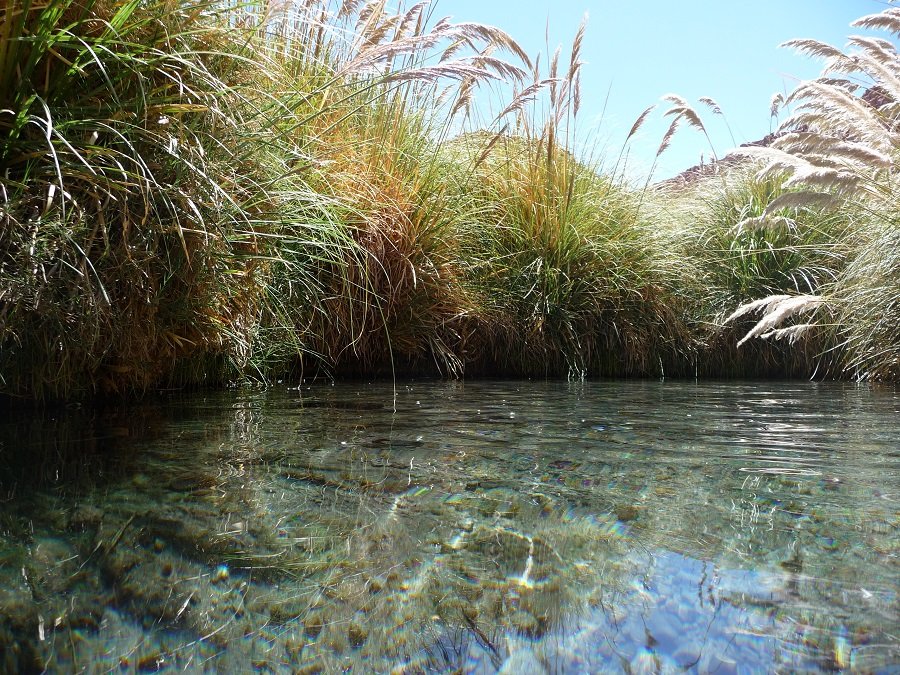 Termas de Puritama